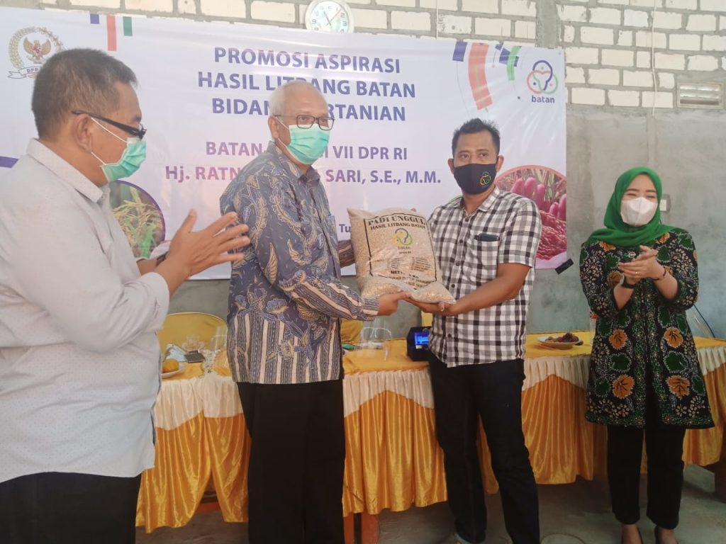 BATAN Promosikan Benih Padi Unggulan Untuk Petani Kecamatan Plumpang