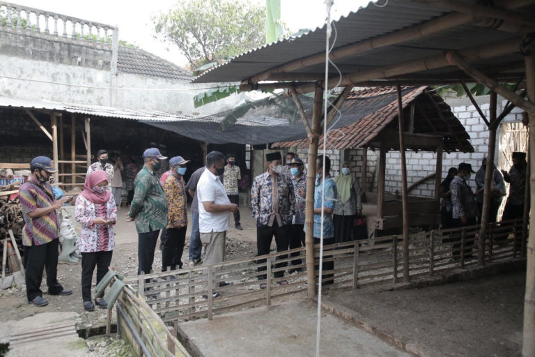 Pemkab Tuban Berinovasi, Program Ternak Bebek Bagi Masyarakat