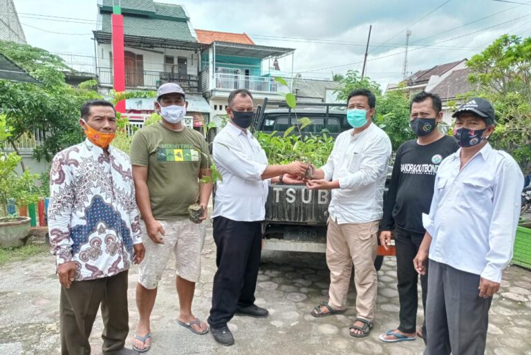 Ciptakan Peluang Ekonomi serta Lingkungan Sehat, LPBI MWC NU Plumpang dan Yayasan Tanali Salurkan Ribuan Bibit Buah