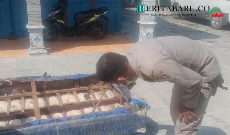 Petugas Damkar Berhasil Menangkap Ular Kobra Sepanjang 1,5 Meter