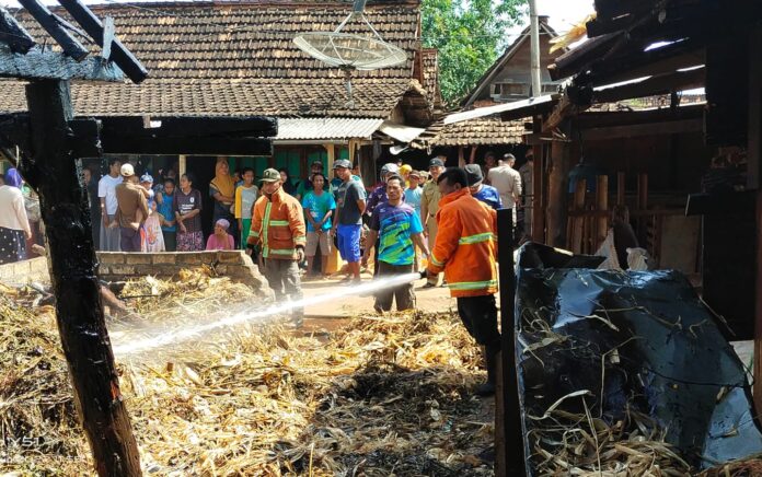 Kandang Sapi Terbakar, Pemilik Rugi Puluhan Juta Rupiah