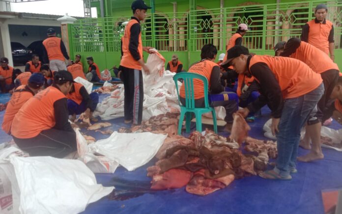 Kampung Miliarder Tuban Sembelih 41 Sapi dan 10 Kambing