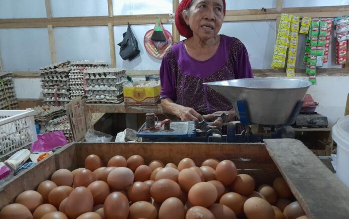 Harga Telur Naik Signifikan, Kepala DKUKMP: Kita Akan Upayakan Koordinasi Dengan Daerah Penghasil Telur Untuk Menekan Harga
