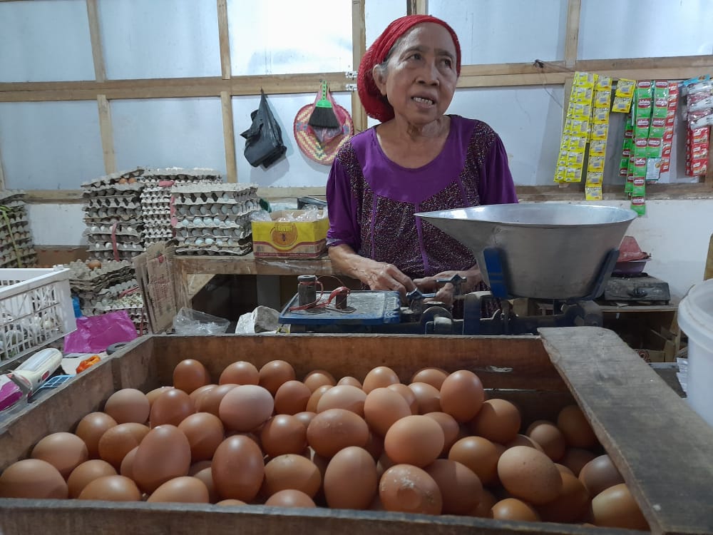 Harga Telur Naik Signifikan, Kepala DKUKMP: Kita Akan Upayakan Koordinasi Dengan Daerah Penghasil Telur Untuk Menekan Harga