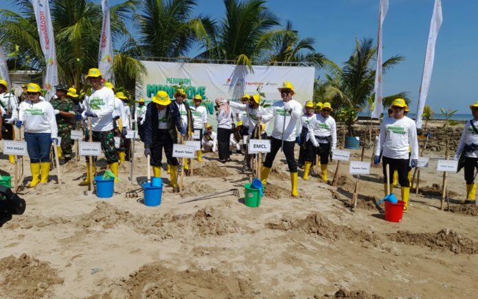 Gandeng Pemkab Tuban, SKK Migas-EMCL Tanam 10.000 Mangrove di Pantai Kelapa