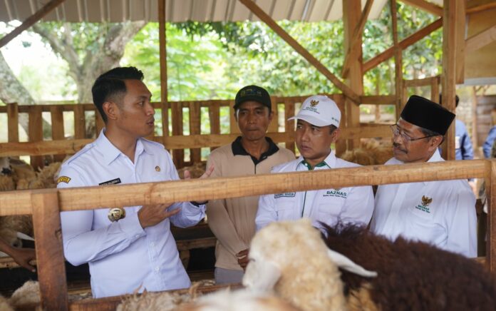 BAZNAS RI Luncurkan Balai Ternak di Kabupaten Tuban