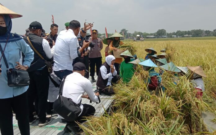 Sulit Dapat Pupuk dan Sawah Kebanjiran, Petani Tuban Curhat ke Gubernur Jatim