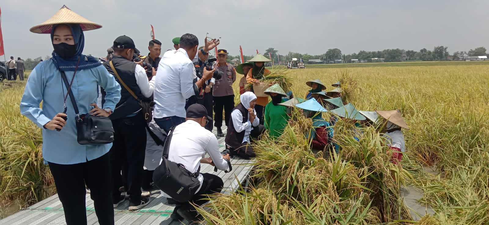 Sulit Dapat Pupuk dan Sawah Kebanjiran, Petani Tuban Curhat ke Gubernur Jatim