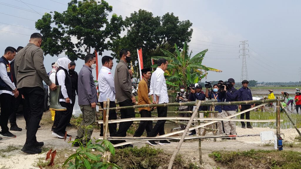 Presiden RI Kunjungan Kerja di Tuban, Ikut Tanam Padi Hingga Blusukan di Pasar Sambonggede