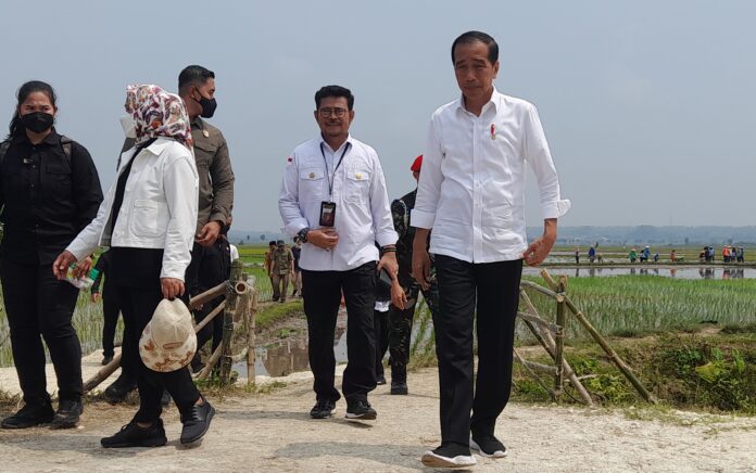 Presiden RI Kunjungan Kerja di Tuban, Ikut Tanam Padi Hingga Blusukan di Pasar Sambonggede