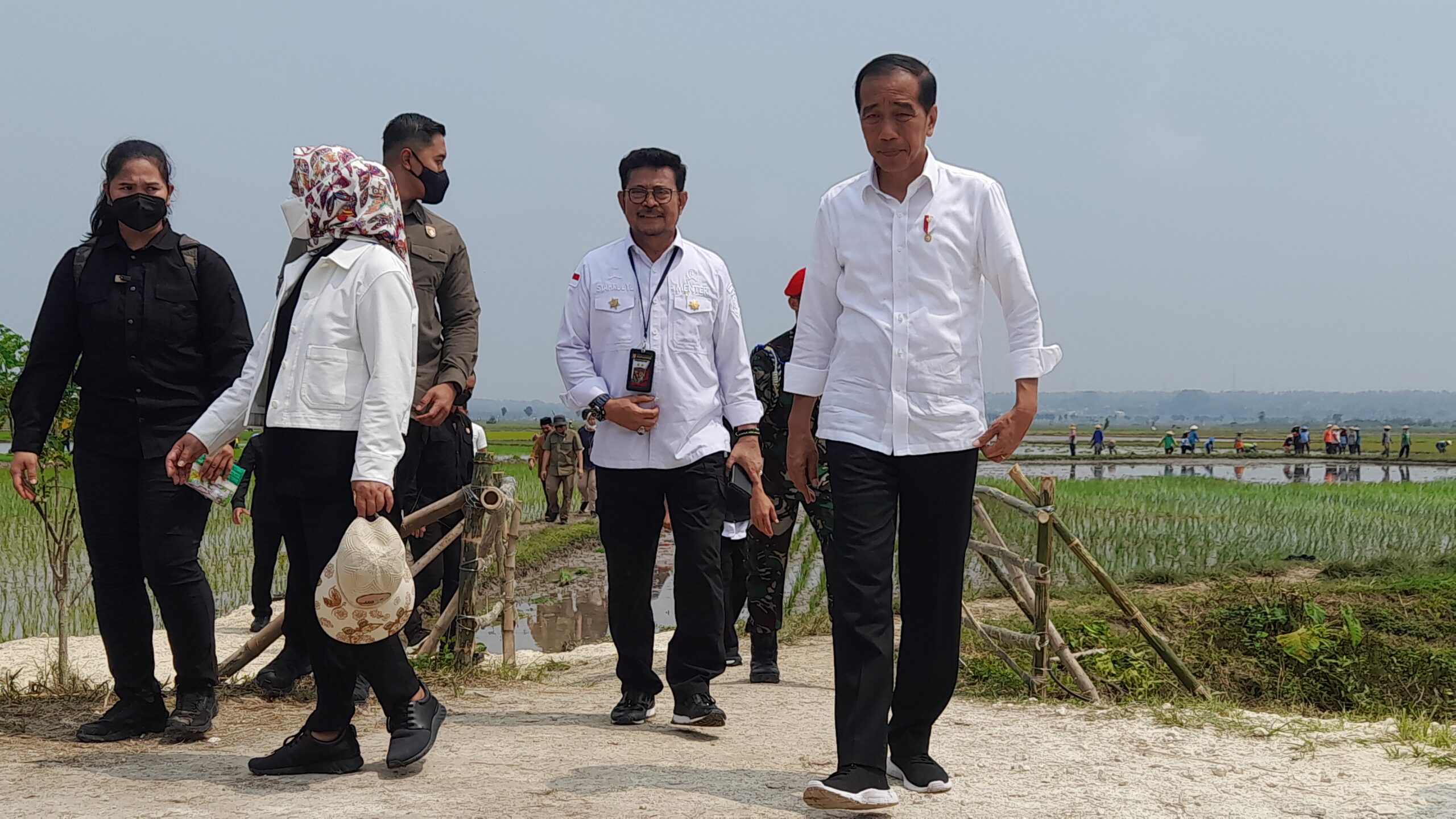 Presiden RI Kunjungan Kerja di Tuban, Ikut Tanam Padi Hingga Blusukan di Pasar Sambonggede