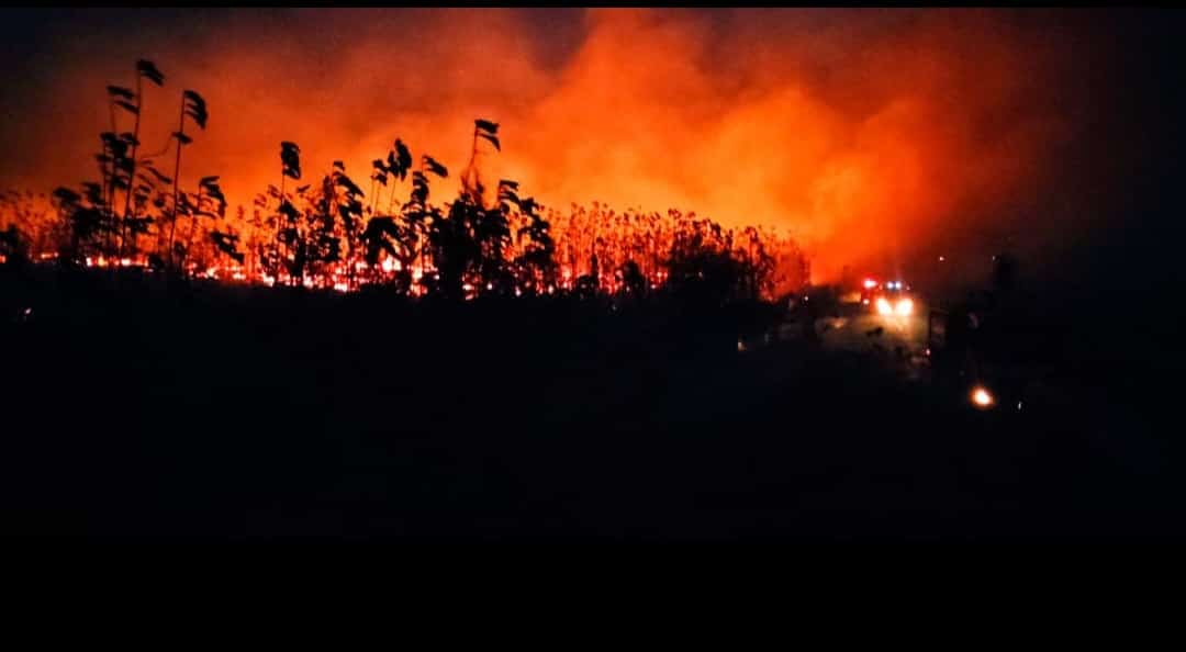 Lahan Kilang Minyak Tuban Terbakar, Ini Penjelasan Tim PT Kilang Pertamina Internasional GRR