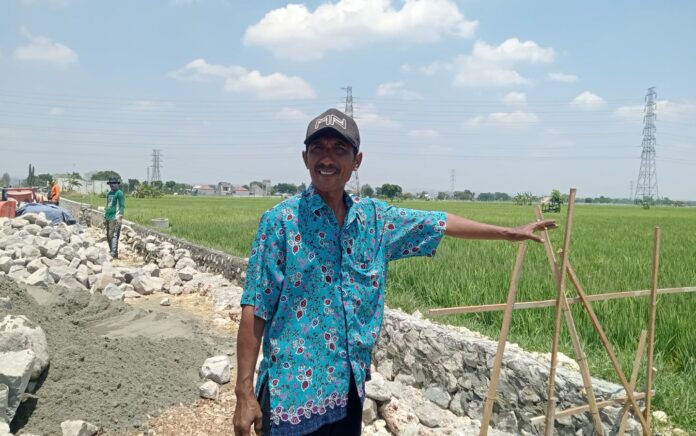 Pembangunan Drainase Dikeluhkan Warga, 120 Hektar Lahan Petani Tuban Bakal Terdampak Banjir
