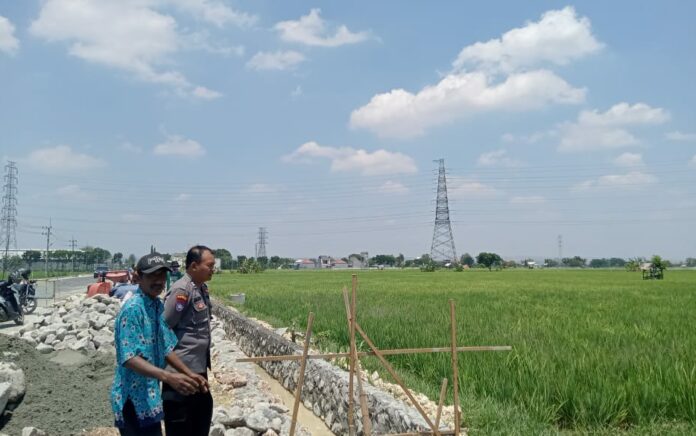 Soal Proyek Drainase di Sugihwaras, PPK 4.4 Tuban Sarankan Petani Usul ke Dinas Pertanian atau PRKP