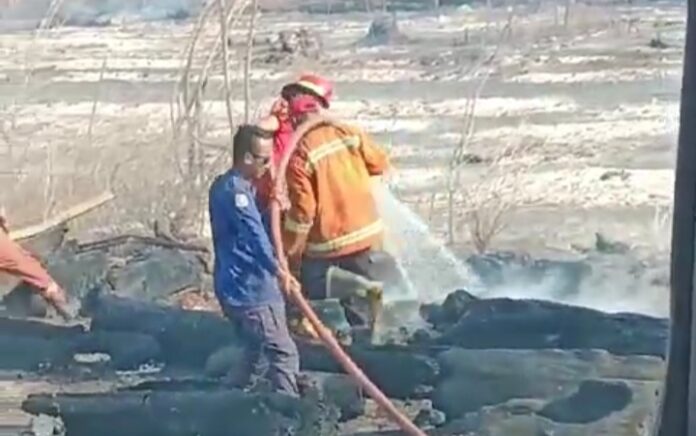 Belum Ditemukan Penyebab Lahan GRR Kebakaran, Ketua DPRD Tuban: Jangan-jangan Sengaja Dibakar