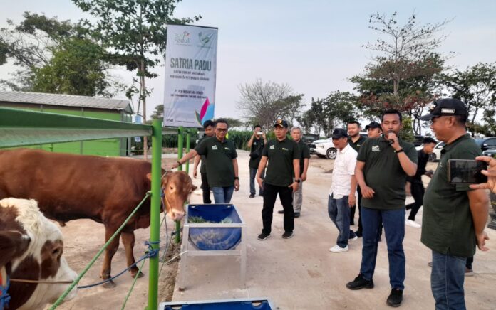 Wujudkan Transformasi Kesejahteraan Berbasis Inovasi dan Keberlanjutan, PT PLN Nusantara Power UP Tanjung Awar-Awar Implementasi Program CSR SIPANDU DESI