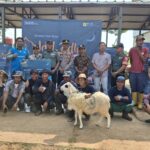 PLN Nusantara Power Salurkan 2 Sapi dan 24 Ekor Kambing ke Warga Ring 1