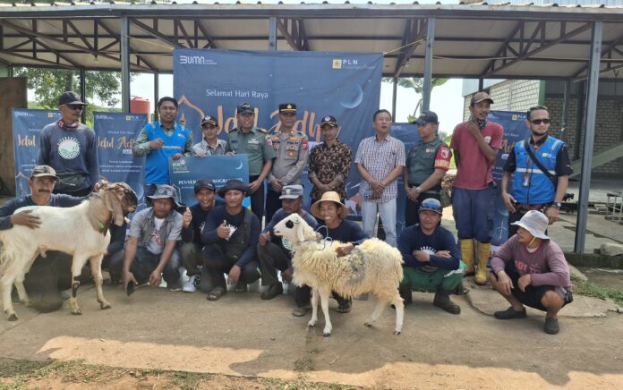 PLN Nusantara Power Salurkan 2 Sapi dan 24 Ekor Kambing ke Warga Ring 1