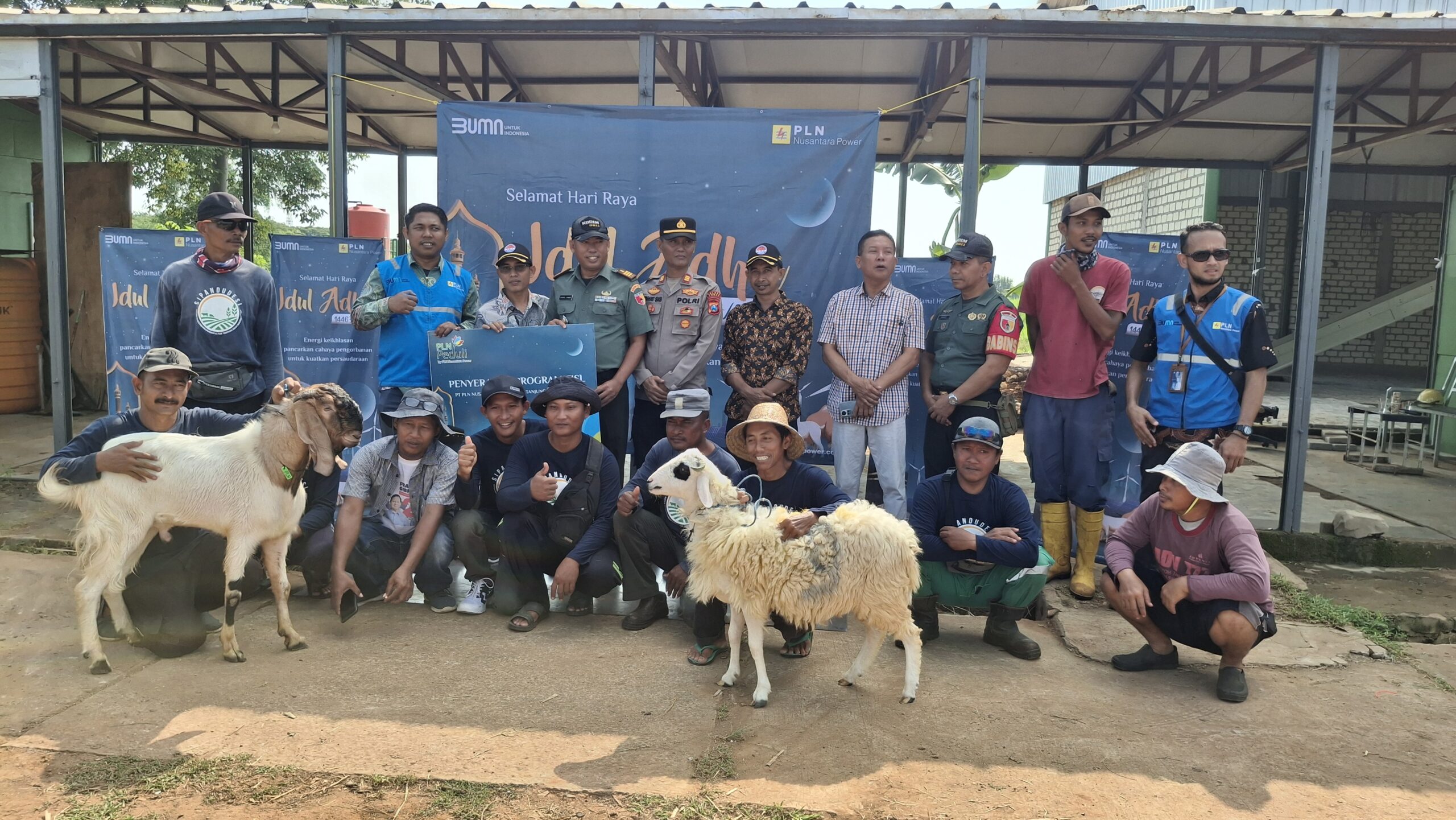 PLN Nusantara Power Salurkan 2 Sapi dan 24 Ekor Kambing ke Warga Ring 1