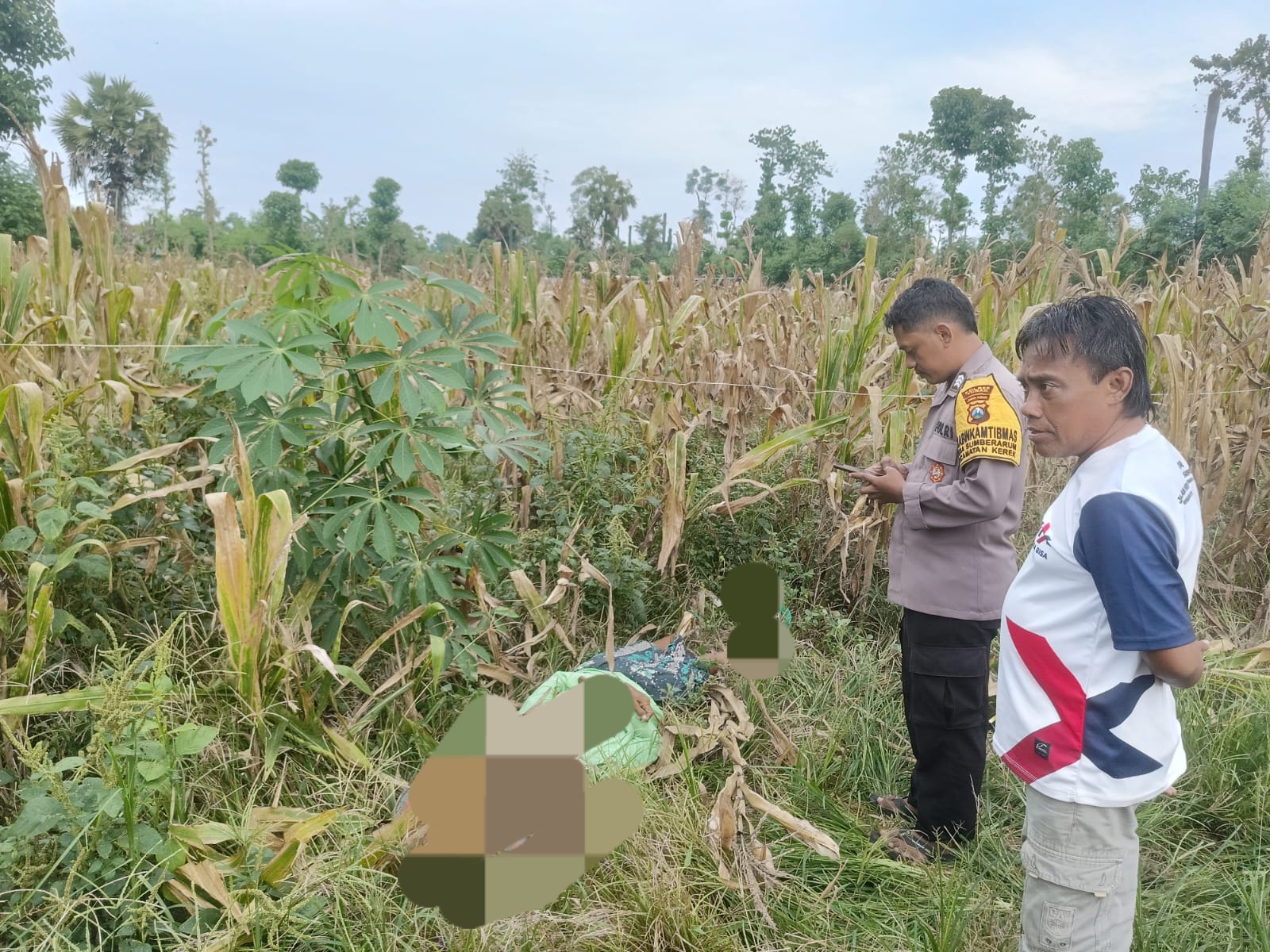 Kesetrum Kabel Menjuntai, Petani Tuban Tewas di Ladang