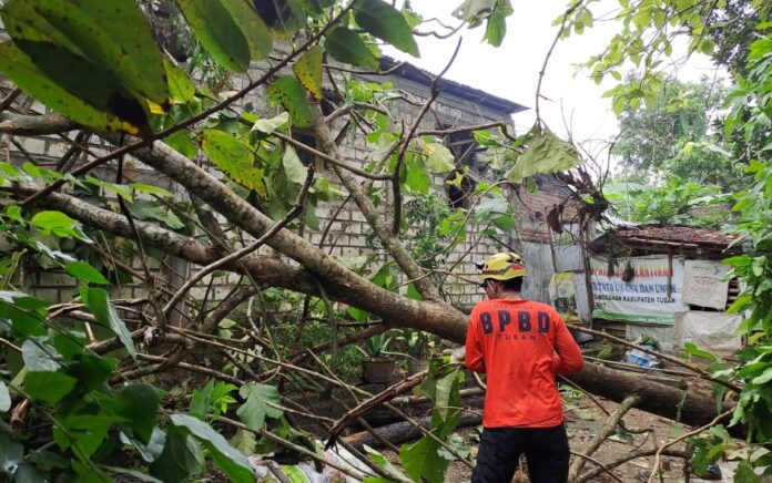 Puting Beliung Terjang Singgahan, Warga dan Aparat Gotong Royong Lakukan Pemulihan